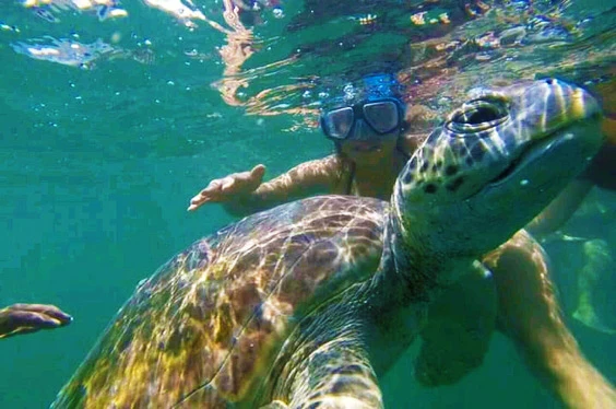 tortugas-relax_02022022_20-1