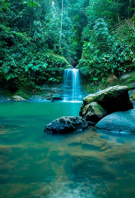 Cascada de Carpishuyacu