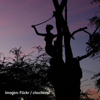 Leyendas peruanas de la costa: 4 misteriosas historias que debes conocer