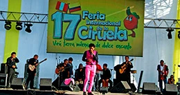 XXII Feria de la Ciruela